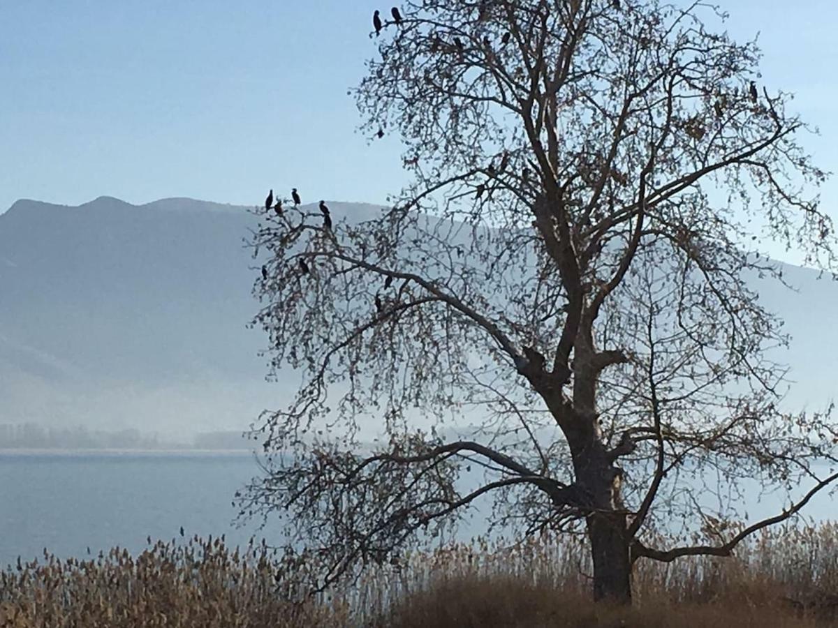 The Little Stone House By The * Kastoria
